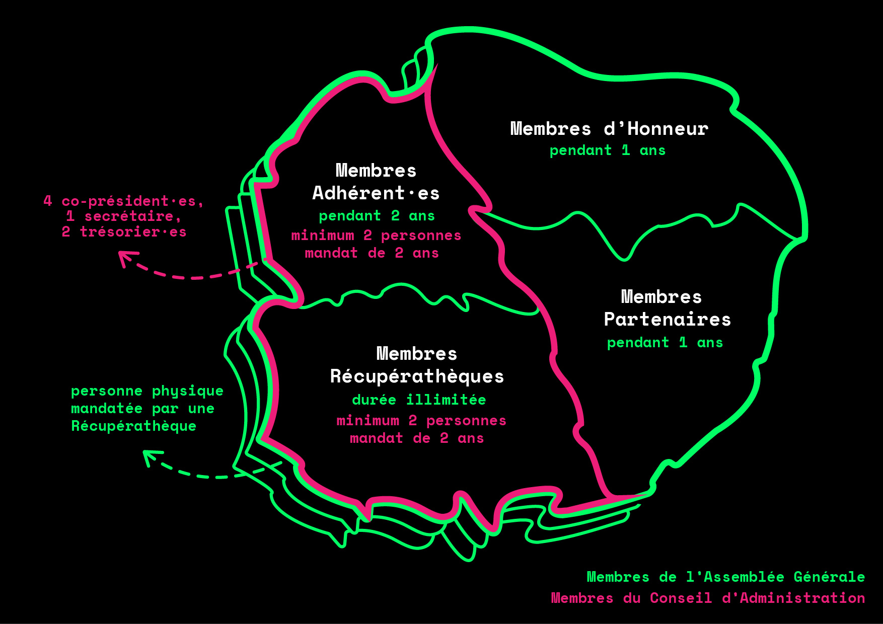 Organigramme 2024.jpg